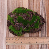 Artificial Moss for Fairy Garden
